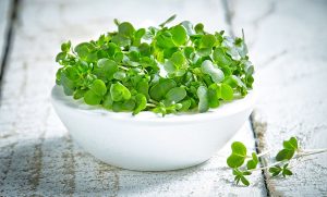 Cress