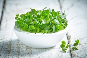 Salad cress