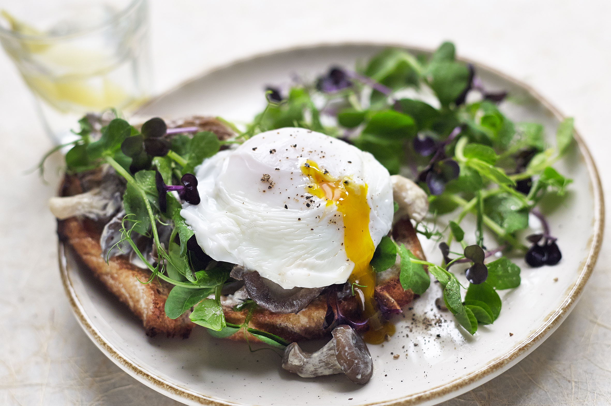 Creamy Mushrooms, Pea Shoots & Poached Egg Toast
