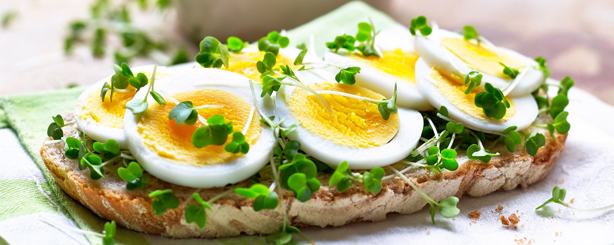 Sliced egg and salad cress on sourdough